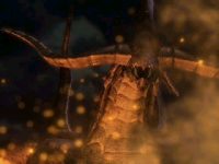 Click Here To Enlarge!