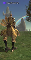 Chocobos can swiftly take you to Vana'diel's hotspots...for a fee, that is.